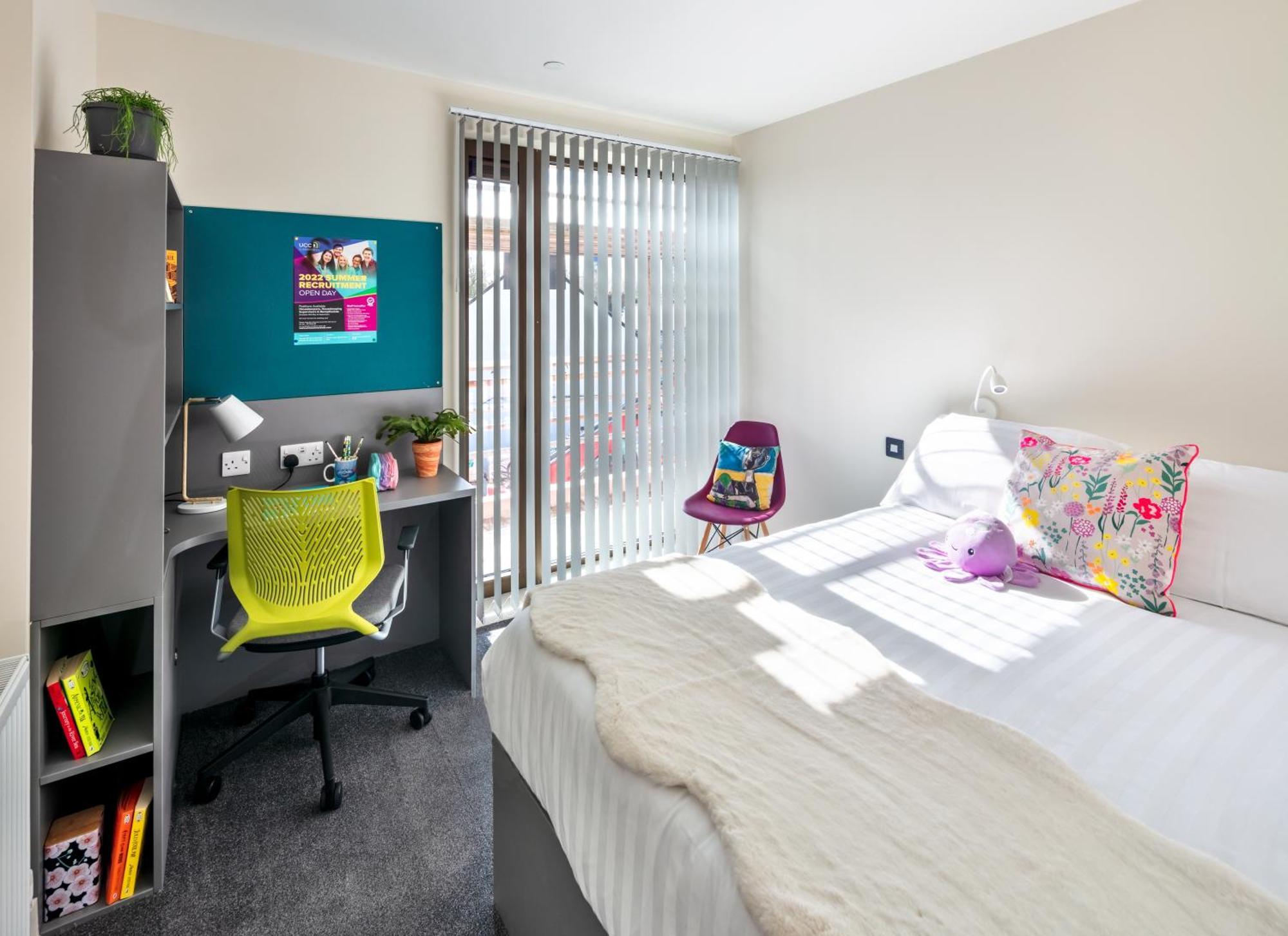 Crow's Nest - Ucc Summer Beds Appartement Cork